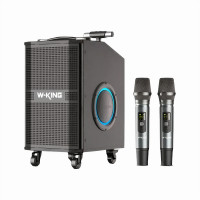Беспроводная Колонка W-King K21SE Беспроводная Колонка W-King K21SE