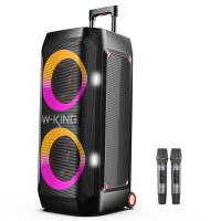 Портативная колонка W-King T12 Bass с 2 микрофонами, Bluetooth, караоке система, мощный звук, RGB подсветка