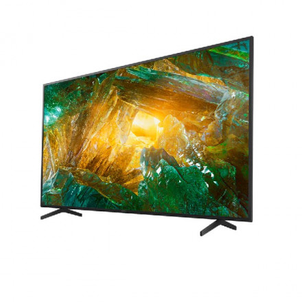 LED телевизор Sony KD65XH8096BR2