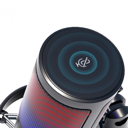 Конденсаторный микрофон Bobby Studio Stream-T