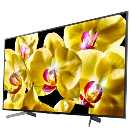 LED телевизор Sony KD65XG8096BR2
