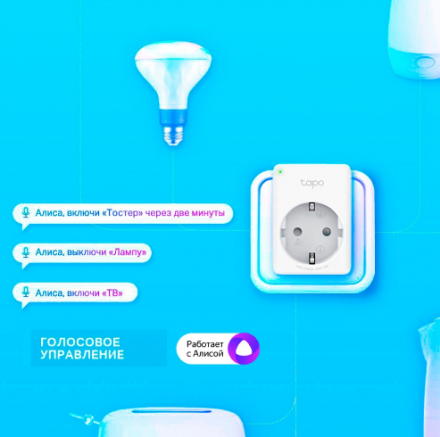 Умная розетка TP-Link Tapo P100