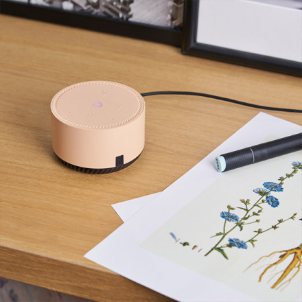 Яндекс Станция Лайт