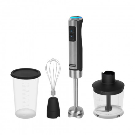 Блендер Rondell RDE-1300