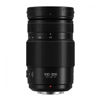Объектив Panasonic Lumix G Vario 100-300mm f/4-5.6 II POWER O.I.S. (H-FSA100300) 