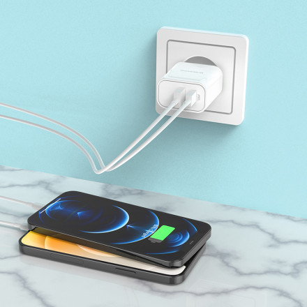 Зарядное устройство BOROFONE BA55A