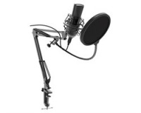 Микрофонный комплект Ritmix RDM-180  Микрофонный комплект Ritmix RDM-180