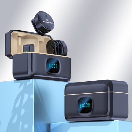 Двойной Беспроводной Микрофон Q8