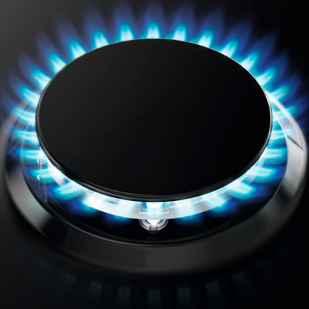 ВСТРАИВАЕМАЯ ВАРОЧНАЯ ПАНЕЛЬ ZANUSSI GPZ263SR