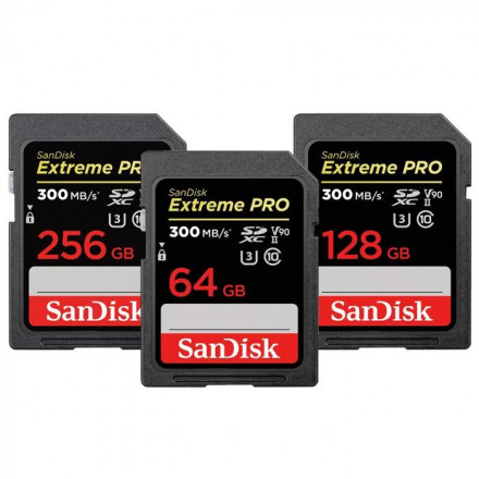 SD Карта SanDisk Extreme Pro V90 (300mb/sec)