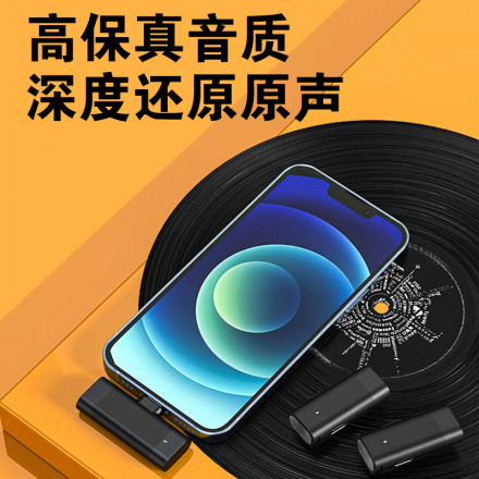 Двойной Беспроводной Микрофон J66