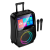 Караоке колонка HOCO DS71 Tiger 800P с экраном и RGB — Bluetooth колонка с микрофонами