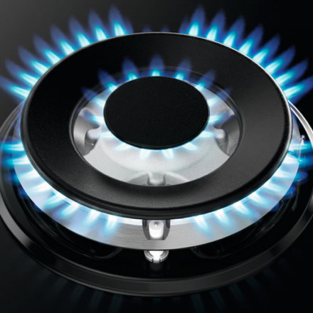 ВСТРАИВАЕМАЯ ВАРОЧНАЯ ПАНЕЛЬ ZANUSSI GPZ363SB