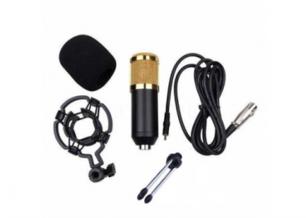 Конденсаторный микрофон BM800 на треноге