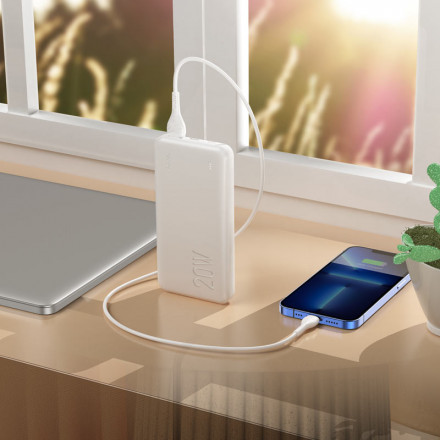 Портативный Аккумулятор Hoco J87