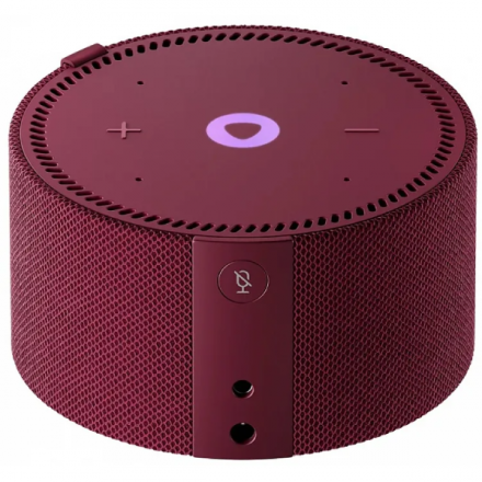 Умная колонка Яндекс Станция Мини с часами YNDX-00020