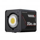 Портативный Осветитель ZGRL-80 (80W) Портативный Осветитель ZGRL-80 (80W)