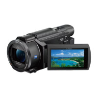 Видеокамера Sony FDR-AXP55