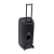 Портативная аудиосистема JBL Party Box 310