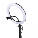 Светодиодная кольцевая лампа LED Filling Lamp M-33 (33 см)  Светодиодная кольцевая лампа LED Filling Lamp M-33 (33 см)
