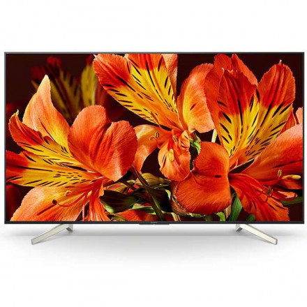 LED телевизор Sony KD85XF8596BR2 New