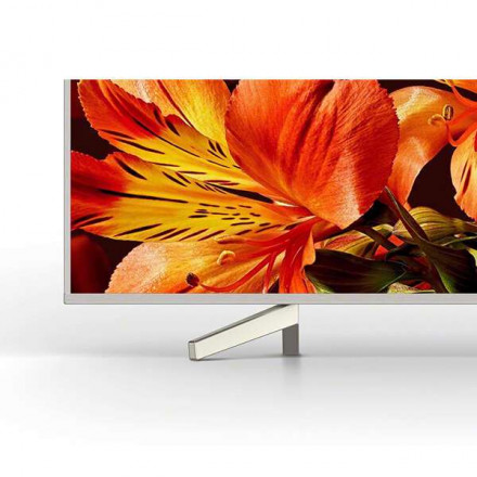 LED телевизор Sony KD85XF8596BR2 New