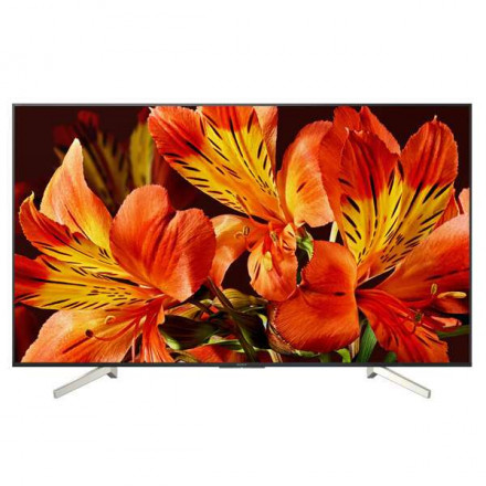 LED телевизор Sony KD65XF8596BR2 New