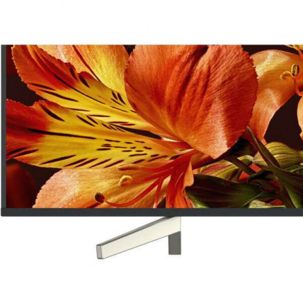 LED телевизор Sony KD65XF8596BR2 New