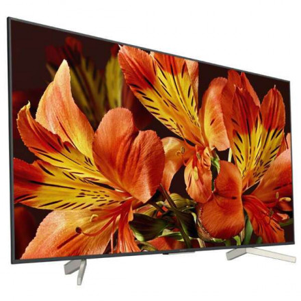LED телевизор Sony KD65XF8596BR2 New
