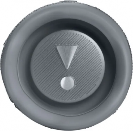 Беспроводная портативная колонка JBL Flip 6 (Original)