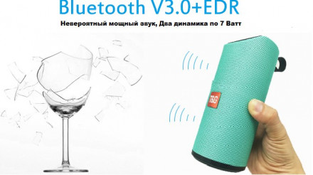 Портативная Колонка T&G 113