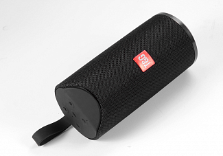 Портативная Колонка T&G 113