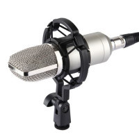 Студийный микрофон BM-700