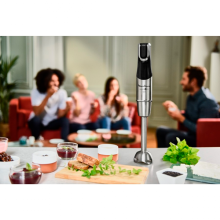 Погружной блендер Moulinex Infiny Force Pro DD95HD10