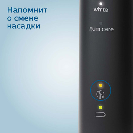 Набор электрических зубных щеток Philips ProtectiveClean 5100 HX6851/34
