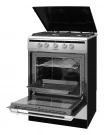 Газоэлектрическая плита Hansa FCMX63021