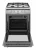Газоэлектрическая плита Hansa FCMX63021