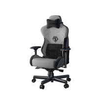 Игровое кресло AndaSeat T-Pro II Premium Gray & Black (AD12XLLA-01-GB)