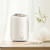 Увлажнитель воздуха Xiaomi Deerma Humidifier F500